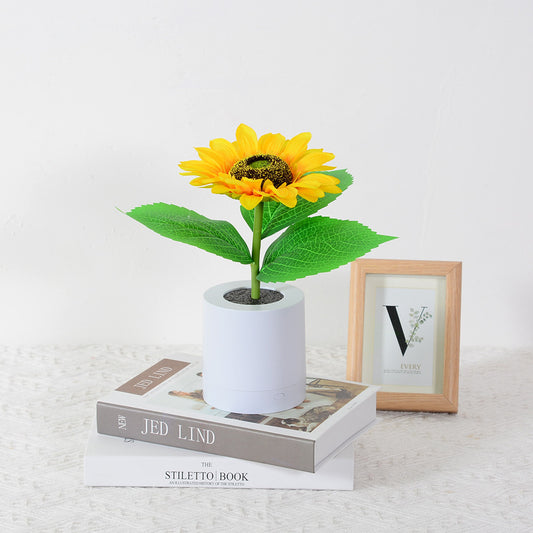 desk-lamp